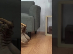 Chaussures de sport pour hommes, anti-déroute et chaussures résistantes à l'usure